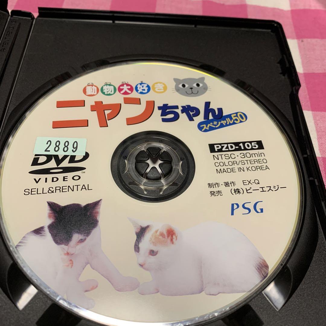 キッズDVD《動物大好きニャンちゃんスペシャル50》【幼児〜低