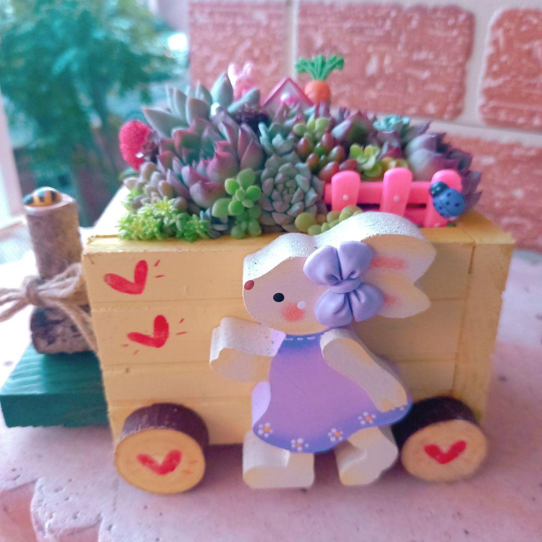 ❤️専用❤️多肉植物❤️そのまま飾れる寄せ植え❤️うさぎちゃん汽車~❤️ ❤️専用❤️多肉植物❤️そのまま飾れる寄せ植え❤️うさぎちゃん汽車~❤️