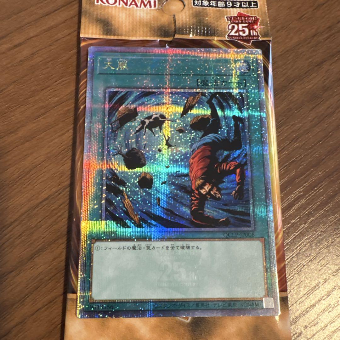 遊戯王 ゲートボール 1009環境デッキ 旋風BF×2 ミラーマッチ 遊戯王 ゲートボール 1009環境デッキ 旋風BF×2 ミラーマッチ