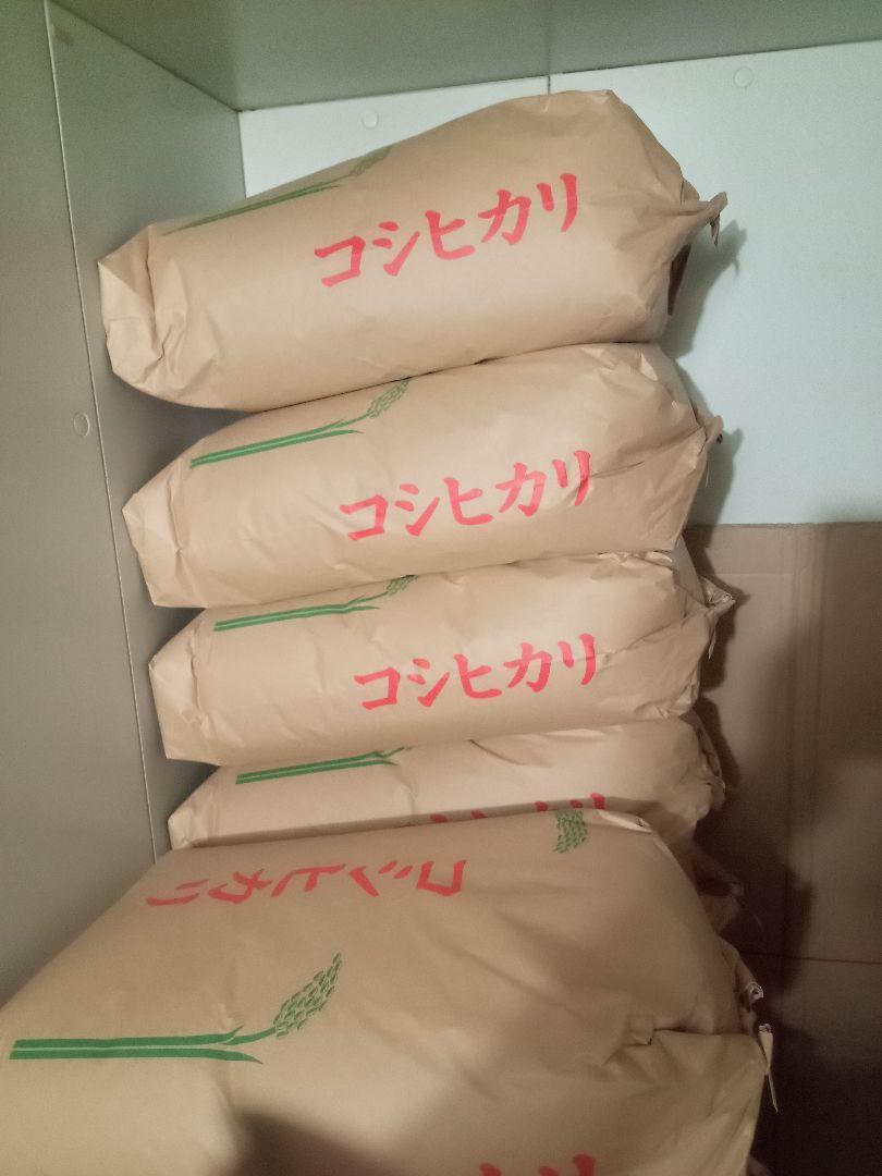 群馬県産 コシヒカリ R6年産 新米 20キロ 玄米 送料込