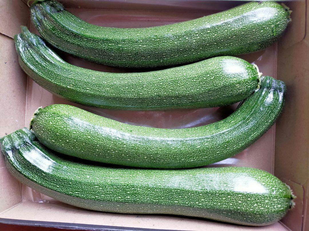 大活躍ズッキーニ 栽培期間中農薬不使用 送料込み!!約1kg（5本