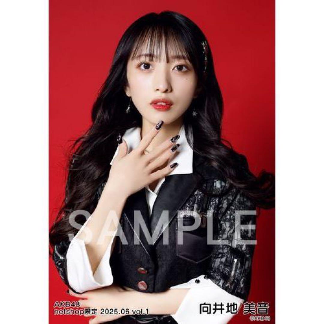 向井地美音　AKB48 2025年4月netshop限定　生写真+カード　コンプ 向井地美音 AKB48 2025年4月 netshop限定 生写真+カード 5種