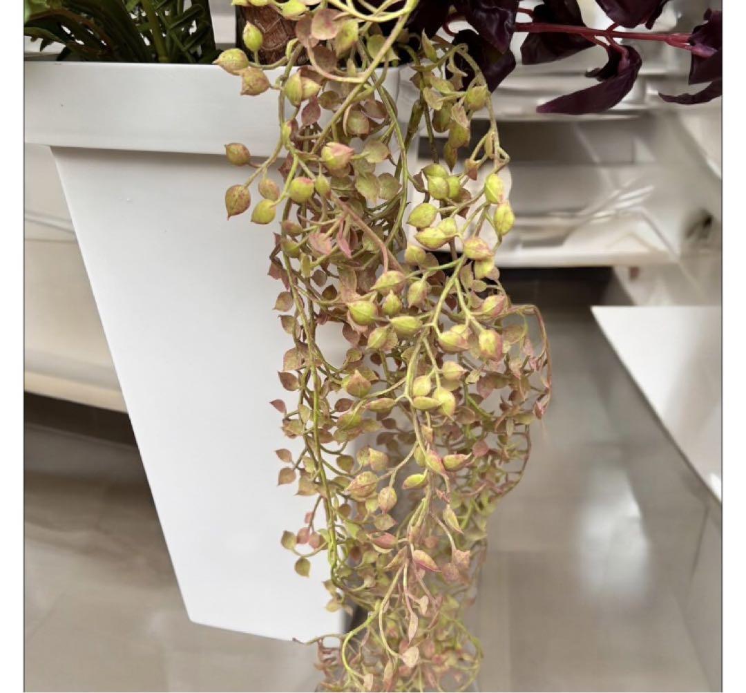光触媒 人工観葉植物