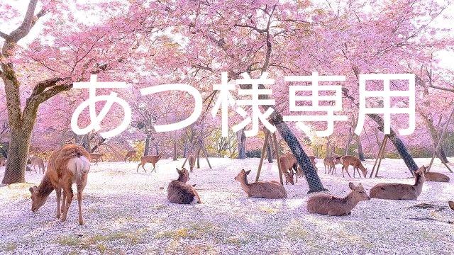 d14kgf天然石 ローズクォーツ、グリーンアメジスト等ピアス ハンドメイド