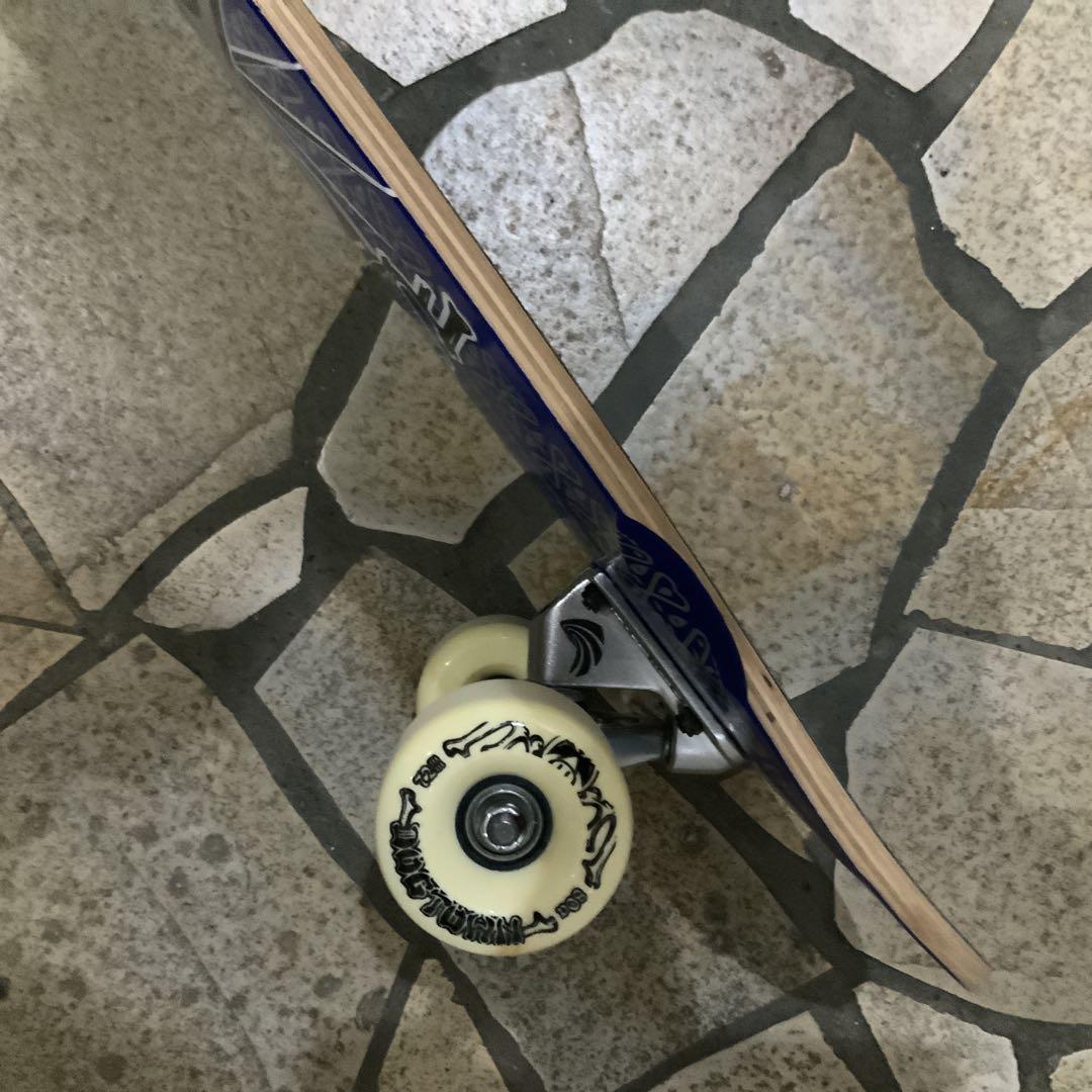 DOGTOWN ドックタウンスーサイダルスケート　DTS コンプリート90年代