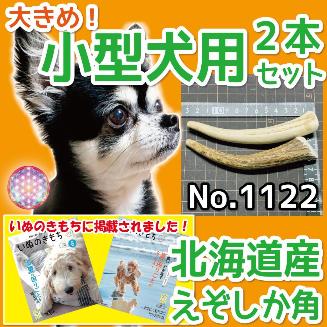 小型犬用 エゾ鹿の角 大きめ2本 北海道産 蝦夷鹿 犬のおもちゃ
