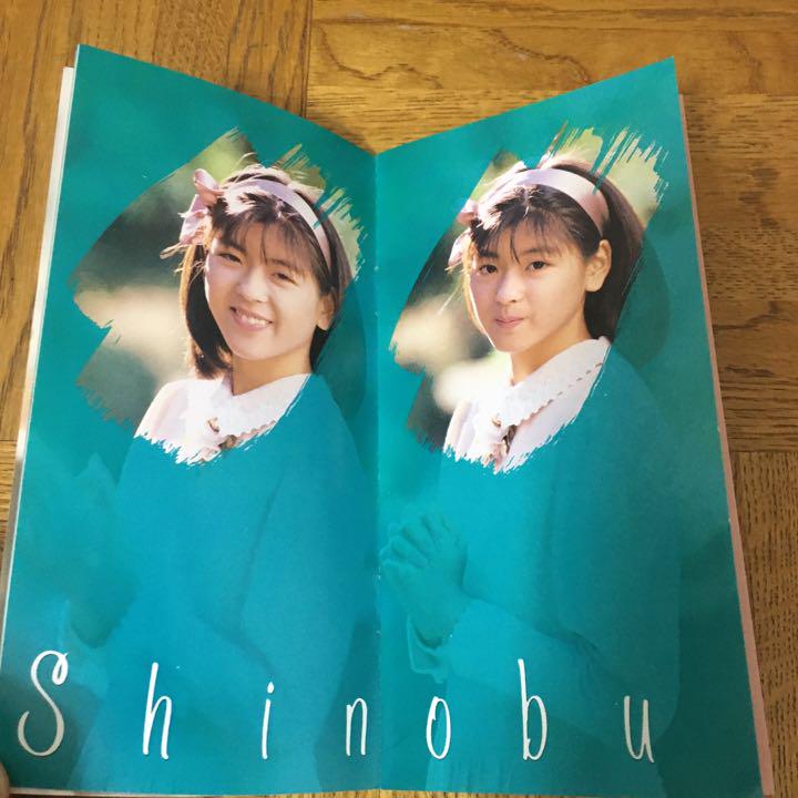 中山忍　涙、止まれ！8cm CD シングル フォトダイアリー付き