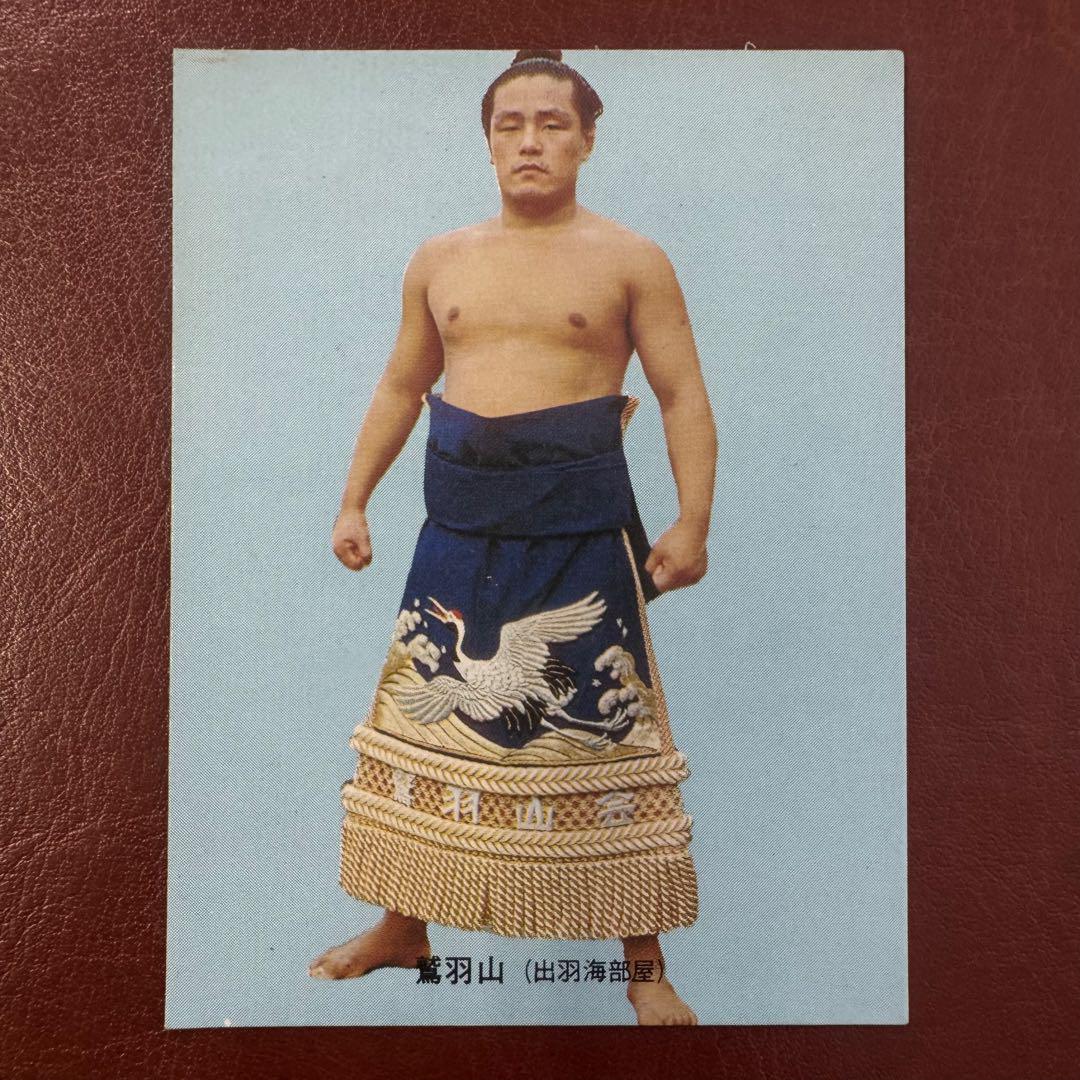 カルビー 大相撲カード 73年 魁傑 カルビー 大相撲カード 73年 魁傑
