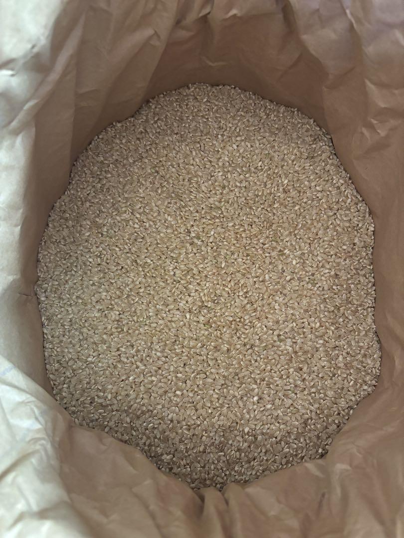 茨城県産 コシヒカリ 30kg 令和6年産