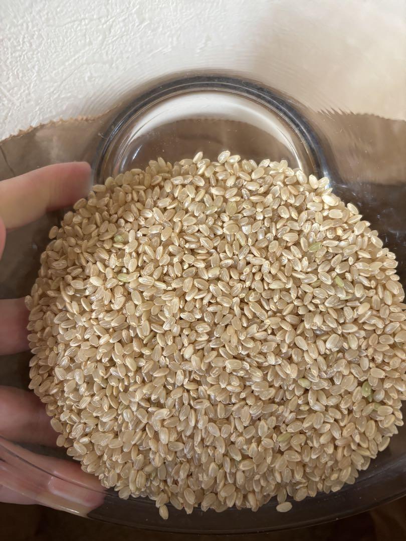 茨城県産 コシヒカリ 30kg 令和6年産