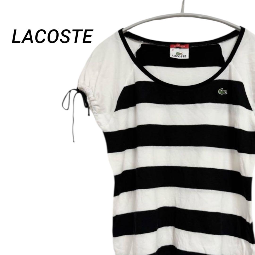 【限定品】LACOSTE ラコステ ボーダー半袖カットソー 42 M相当 日本製