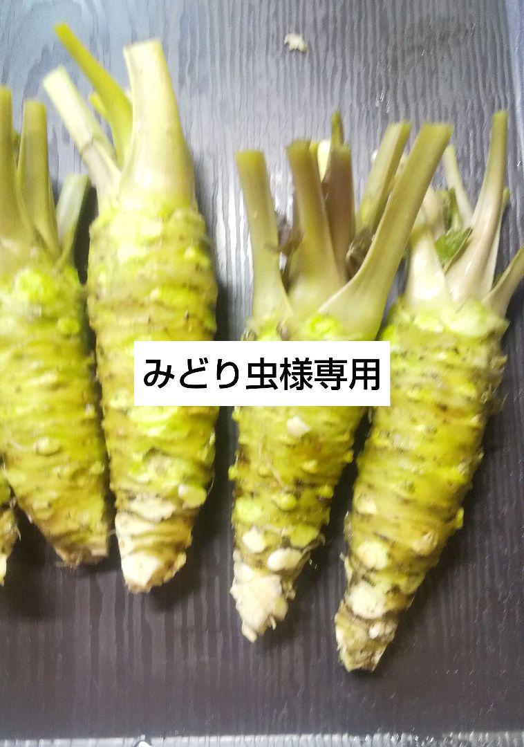 生わさび