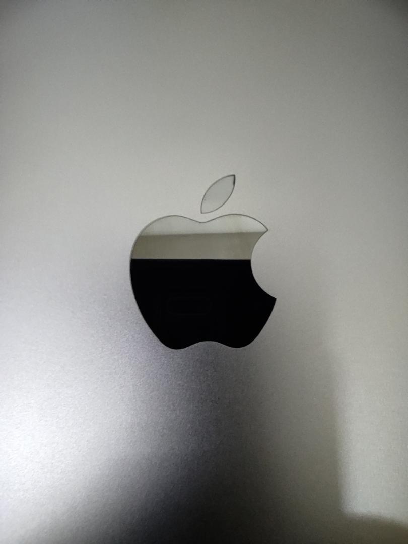 iPad (第9世代) 256GB スペースグレー Wi-Fi ジャンク 不良