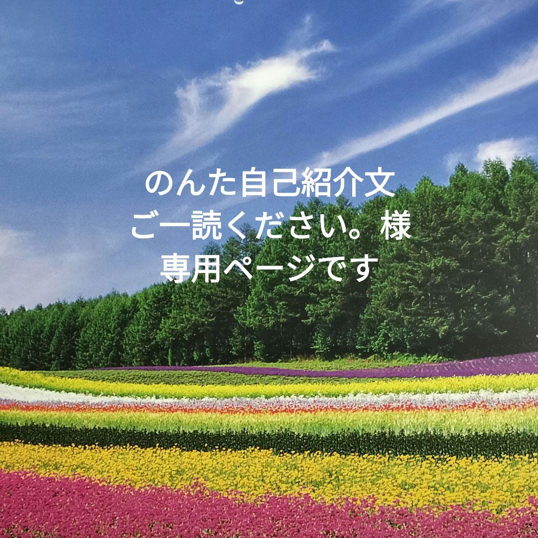のんた自己紹介文ご一読ください。ページです