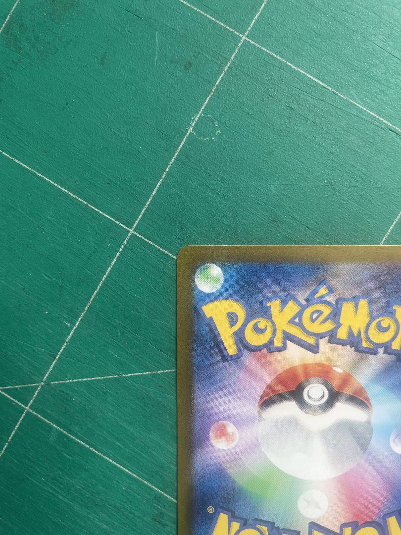 231|XY-P