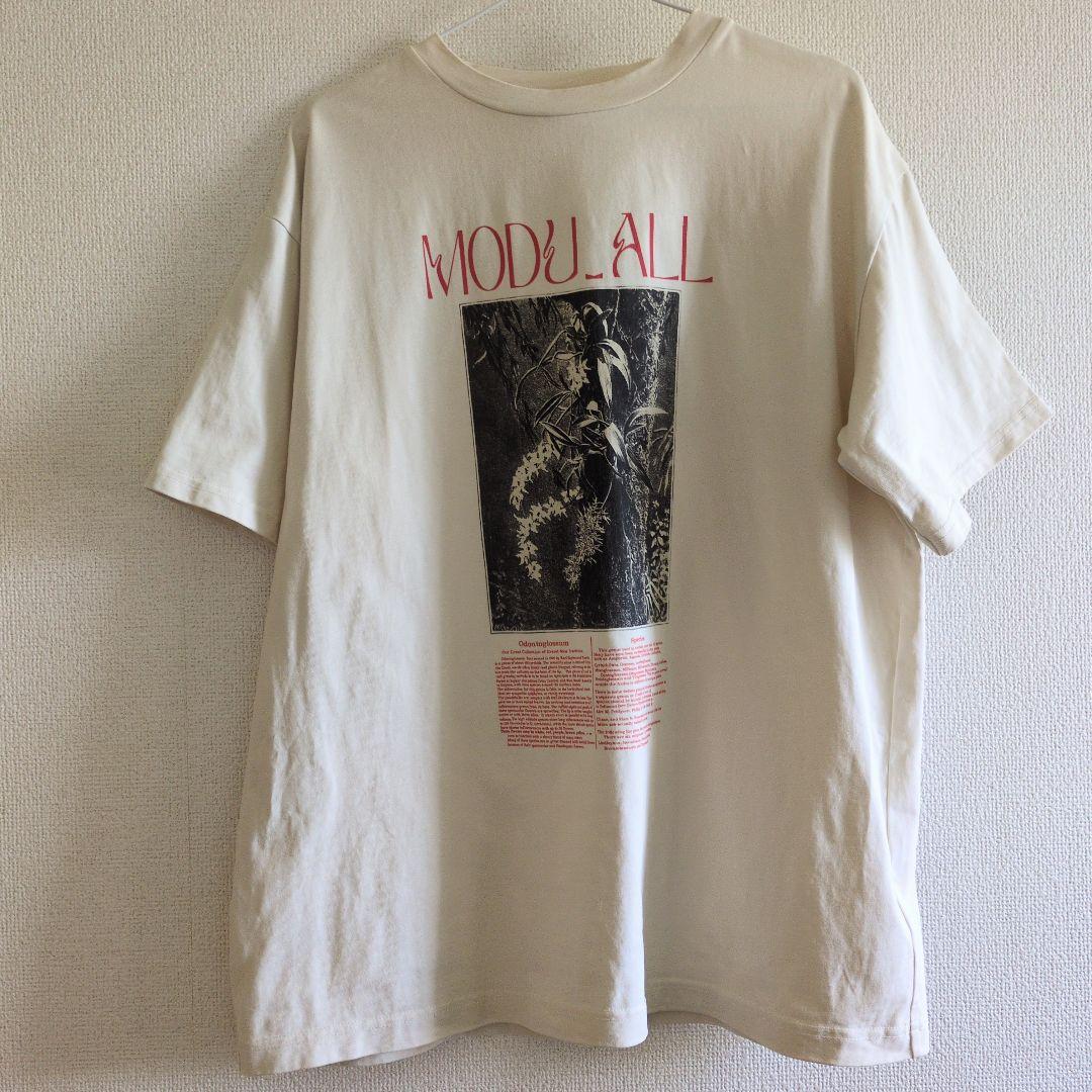 アメリ ヴィンテージ 24SS CONCEPT PRINT TEE