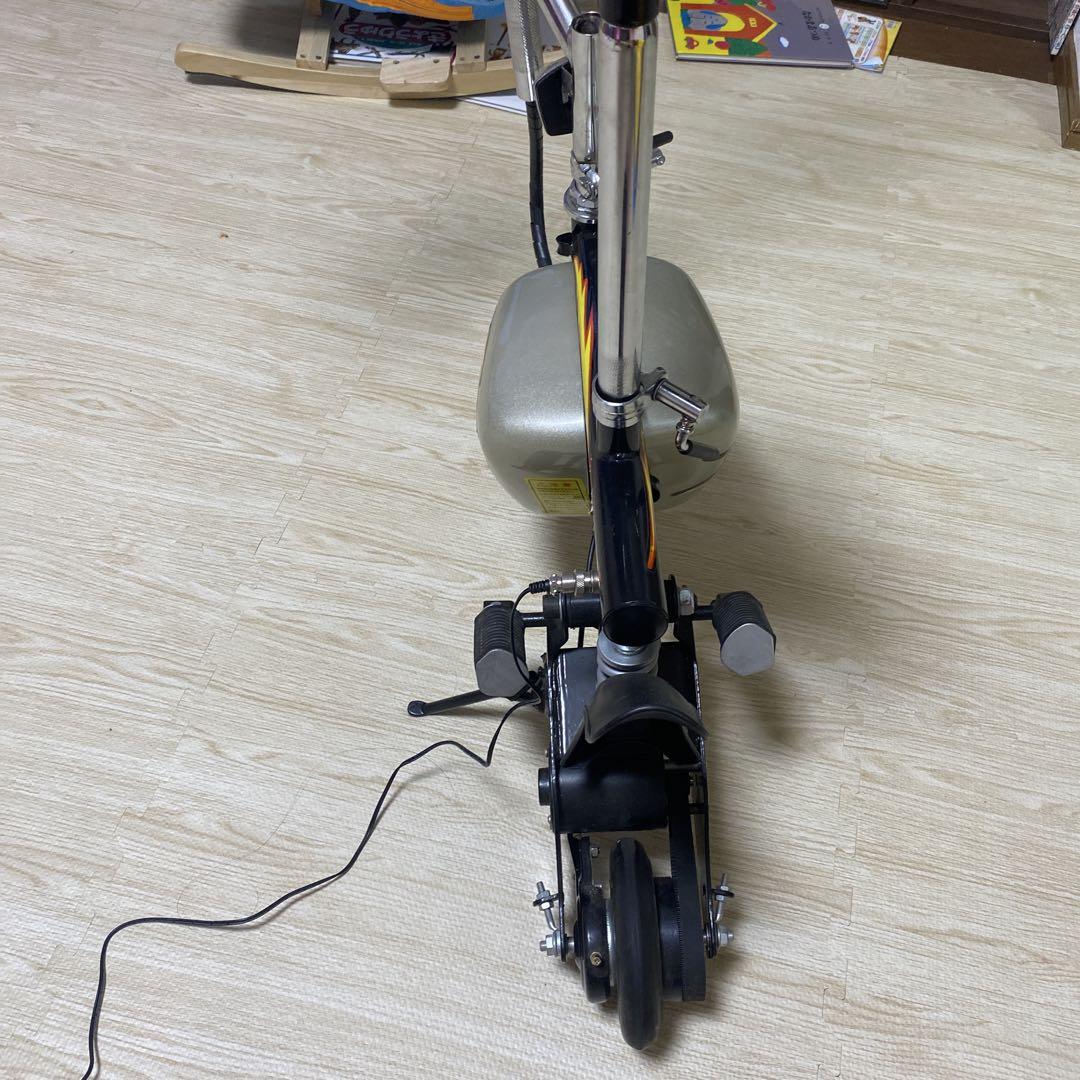 エレクトリックライダー 充電式バイク　自転車