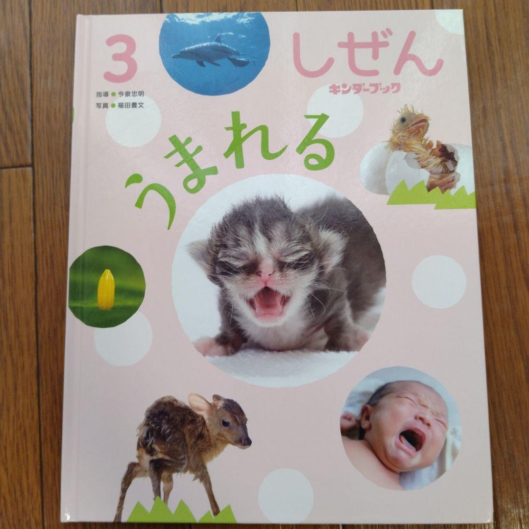 め*ん様 キンダーブック しぜん 絵本 54冊 フレーベル館 お