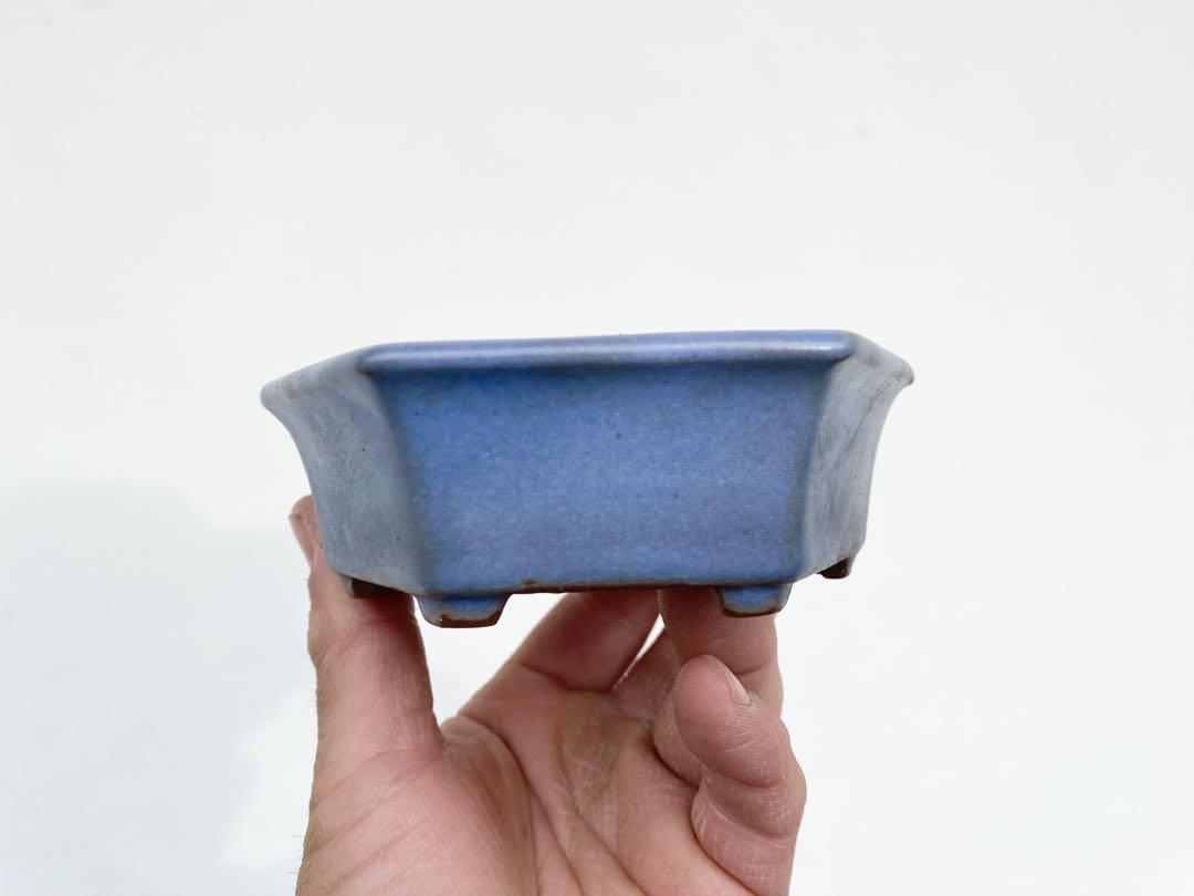 白木盆栽園　山房　盆栽鉢　横12センチ　鉢和鉢盆栽趣味陶器盆器植木鉢