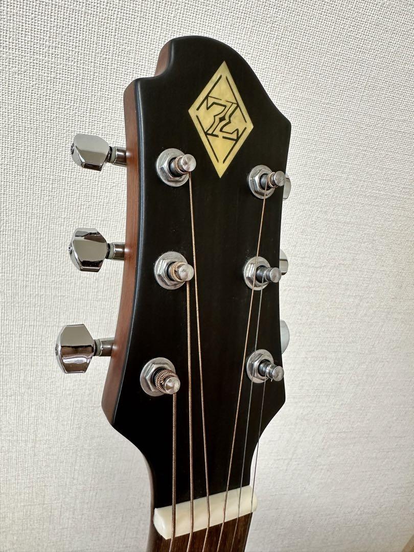 ZEMAITIS エレアコギター