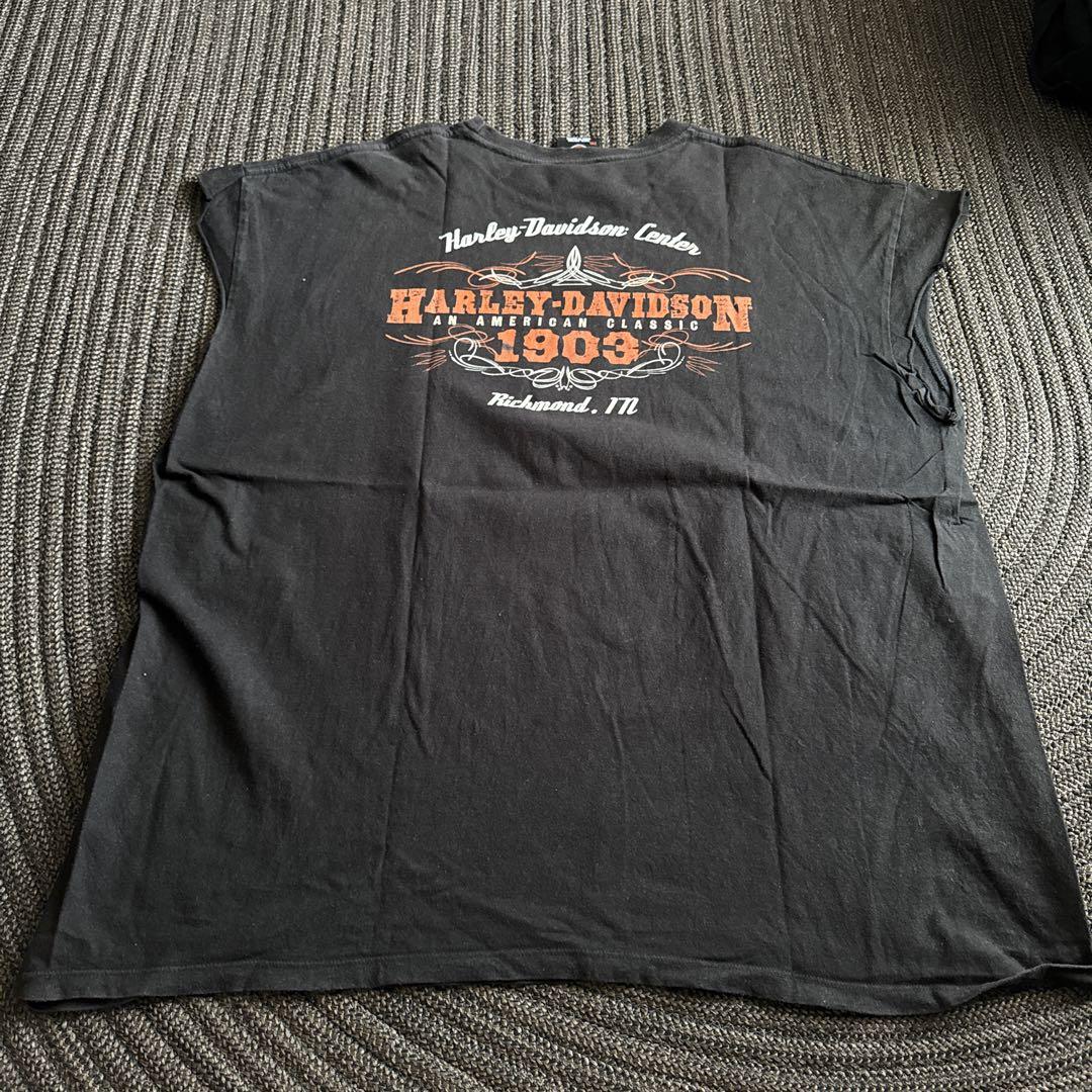 Harley-Davidson ハーレーダビッドソン ノースリーブ