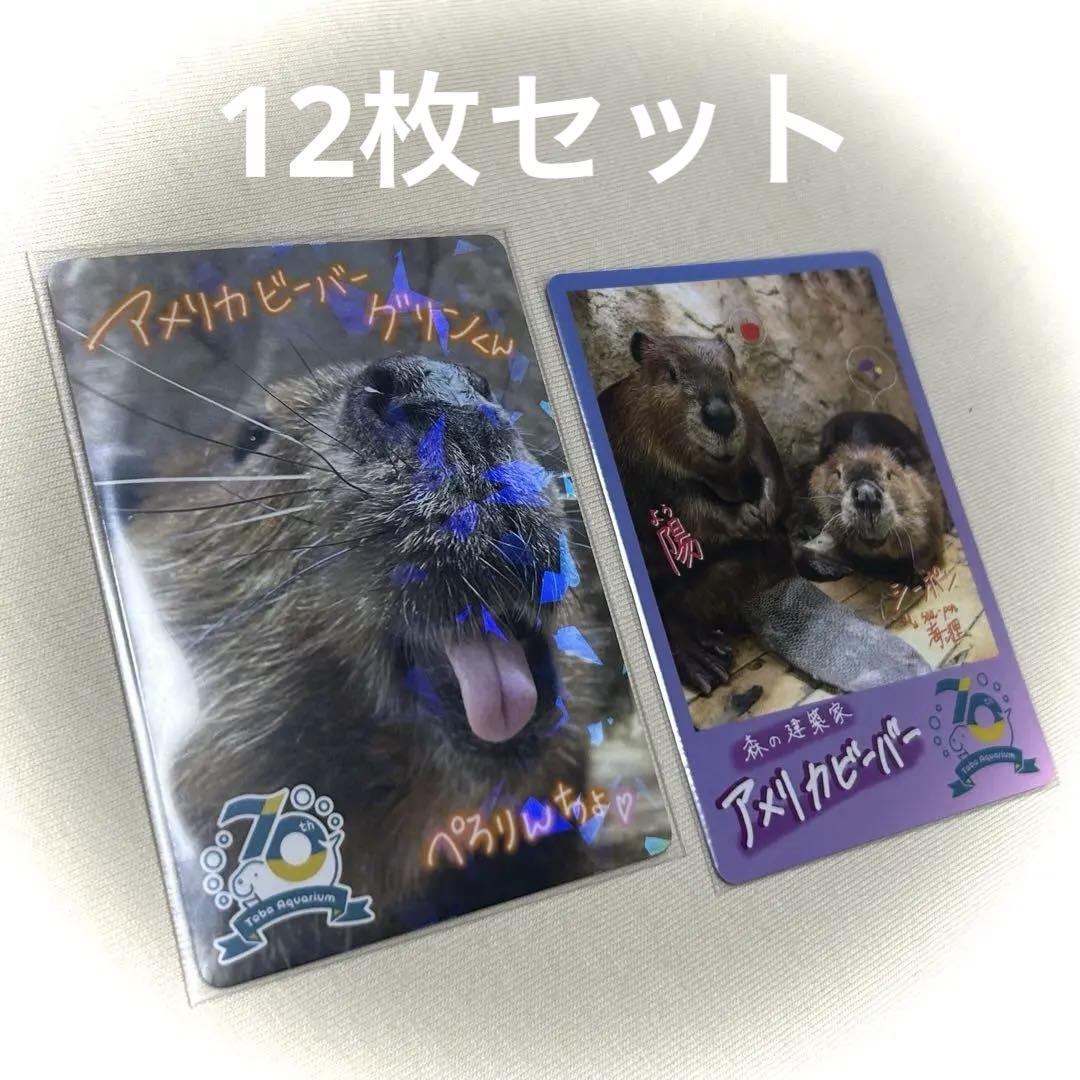 【レア】鳥羽水族館　アメリカビーバー グリン キラキラ コレクションカード 鳥羽水族館 70周年コレクションカード レア ビーバー グリン