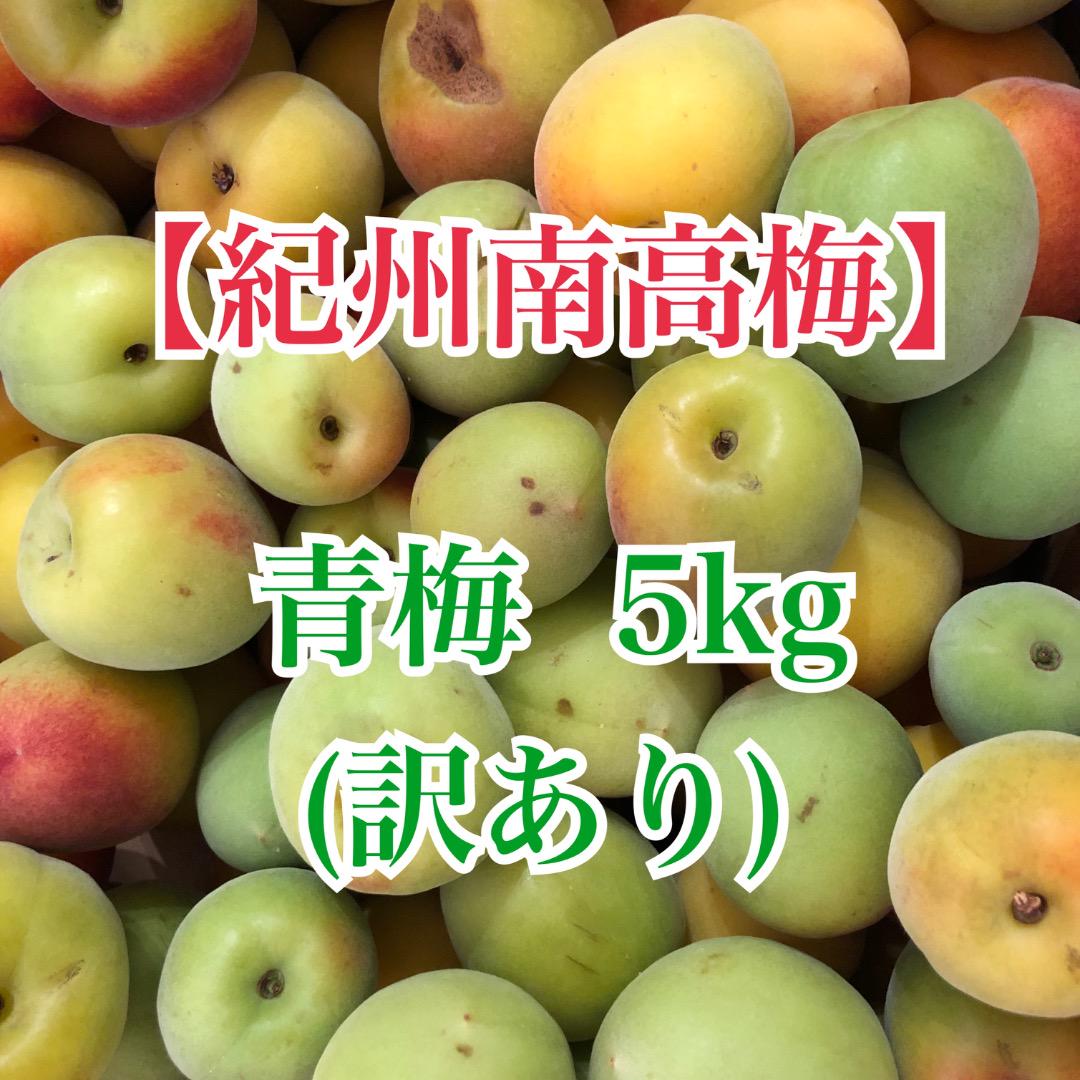 紀州南高梅　青梅　訳あり　2L・3L　5kg　送料込み
