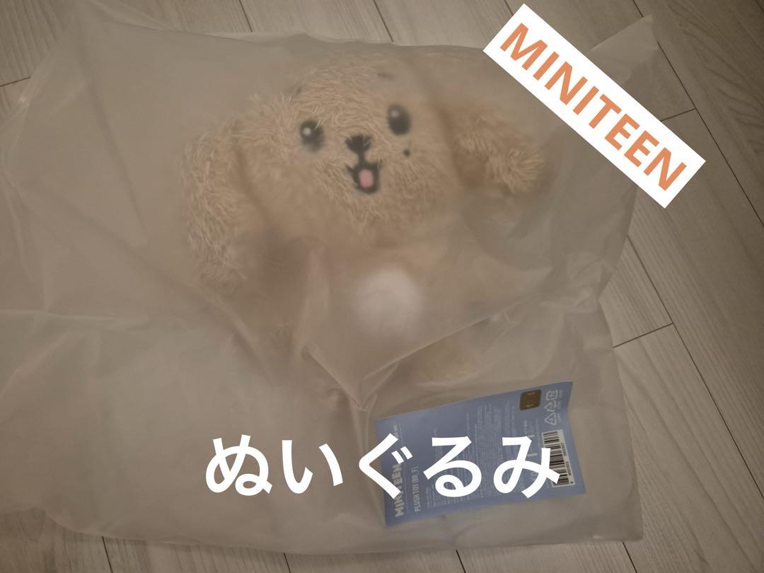 セブチ　seventeen miniteen ドギョム　ドア　ぬいぐるみ