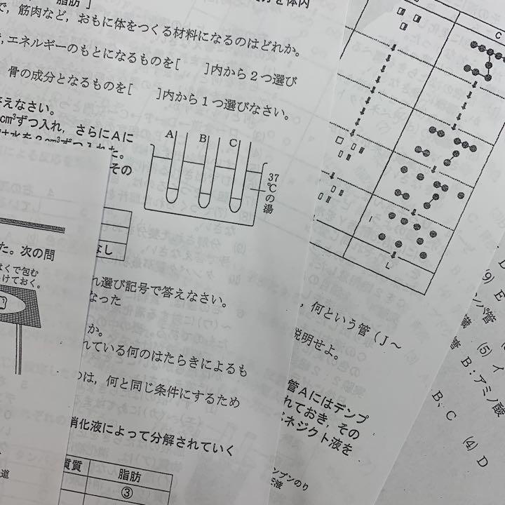 中学 ２年 理科 定期テスト対策 消化と吸収 消化酵素などでまず点 メルカリ