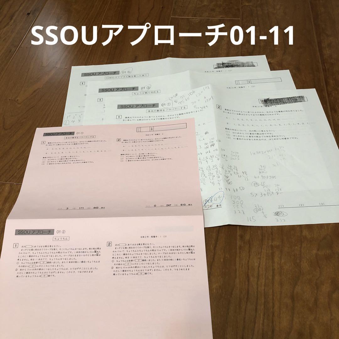 最新桜蔭SS特訓算数　2025受験　欠番なし 最新桜蔭SS特訓算数 2025受験 欠番なし ちかづける