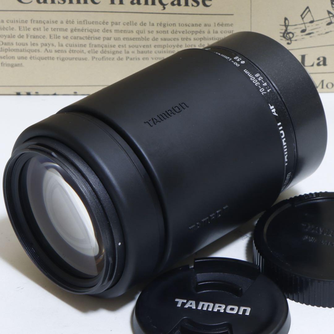 ◇大迫力300mm超望遠◇ TAMRON 100-300mm for Canon Canon - ◇大迫力300mm超望遠◇ TAMRON 100-300mm for Canonの