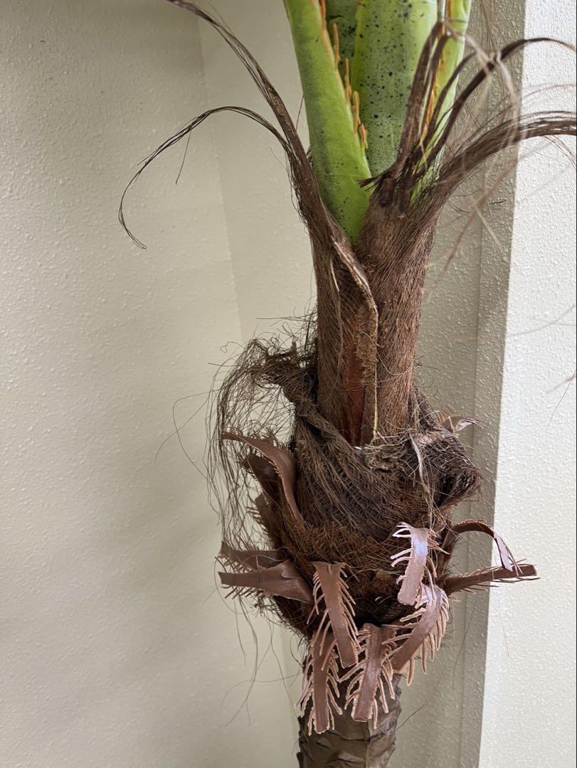 フェイクグリーン ココナッツ 230cm Coconut tree