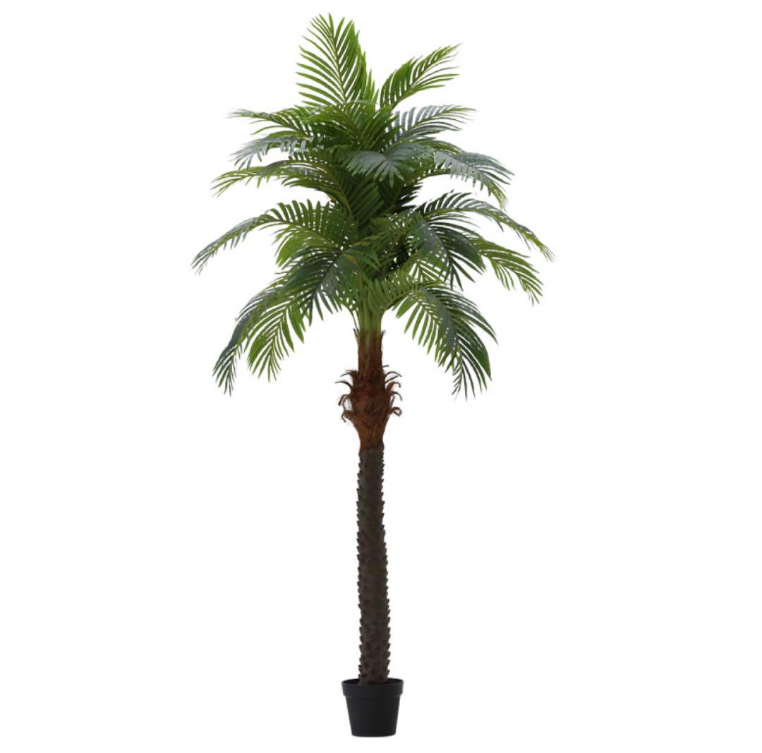 フェイクグリーン ココナッツ 230cm Coconut tree