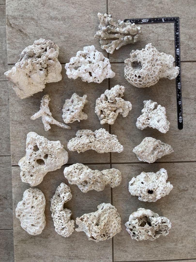 天然デスロックまとめ売り① 17個　約5.8kg サンゴ　キクメイシ