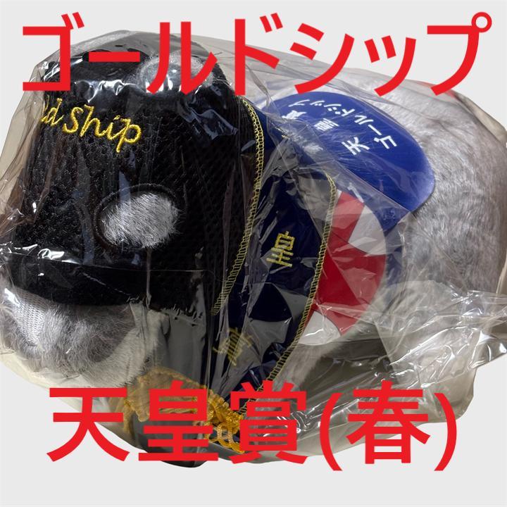 【終売】 天皇賞　ゴールドシップ　 ぬいぐるみ 　AVANTI　 ウマ娘 終売】 天皇賞 ゴールドシップ ぬいぐるみ AVANTI ウマ娘