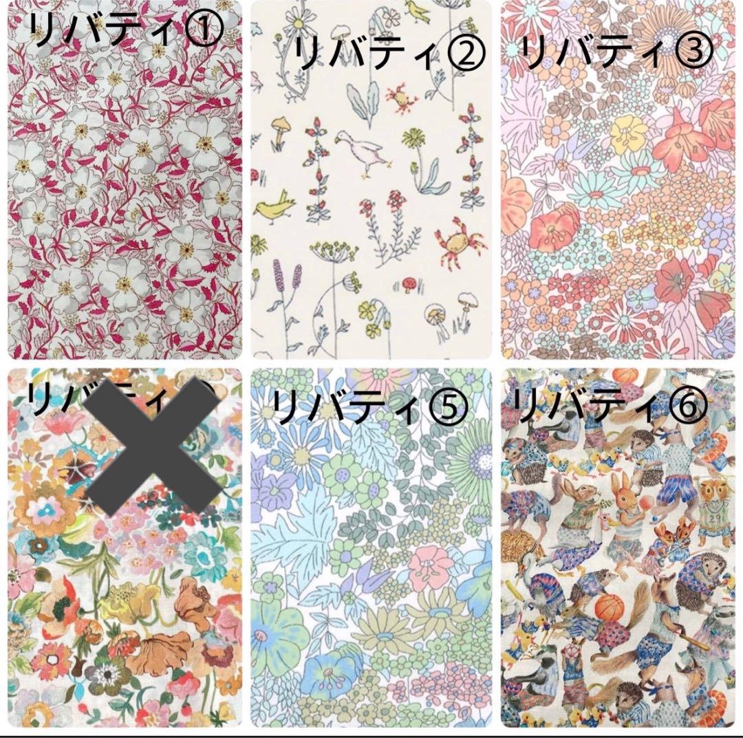 アニページゴヤールサンルイPMサイズバッグインバッグ