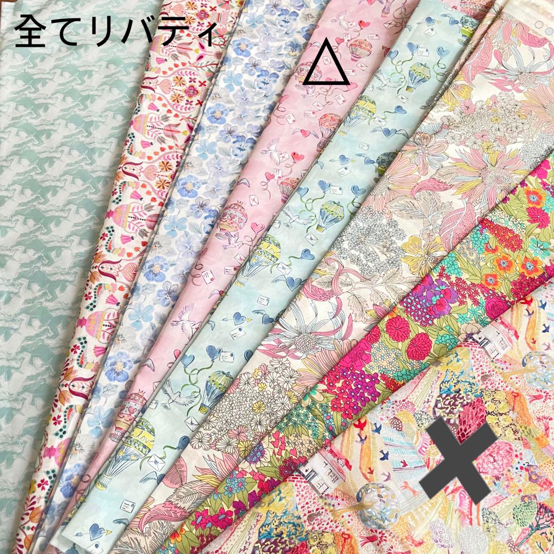アニページゴヤールサンルイPMサイズバッグインバッグ