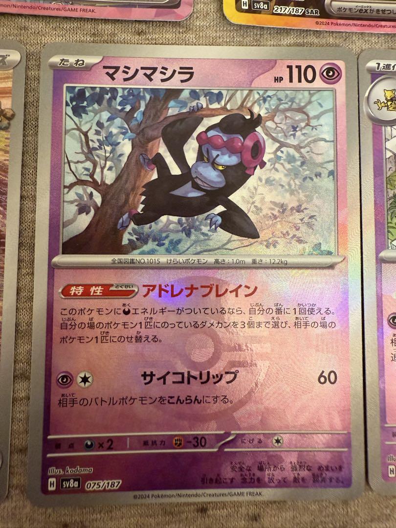 テラスタルフェス プチゴッドパック ブラッキーex SAR