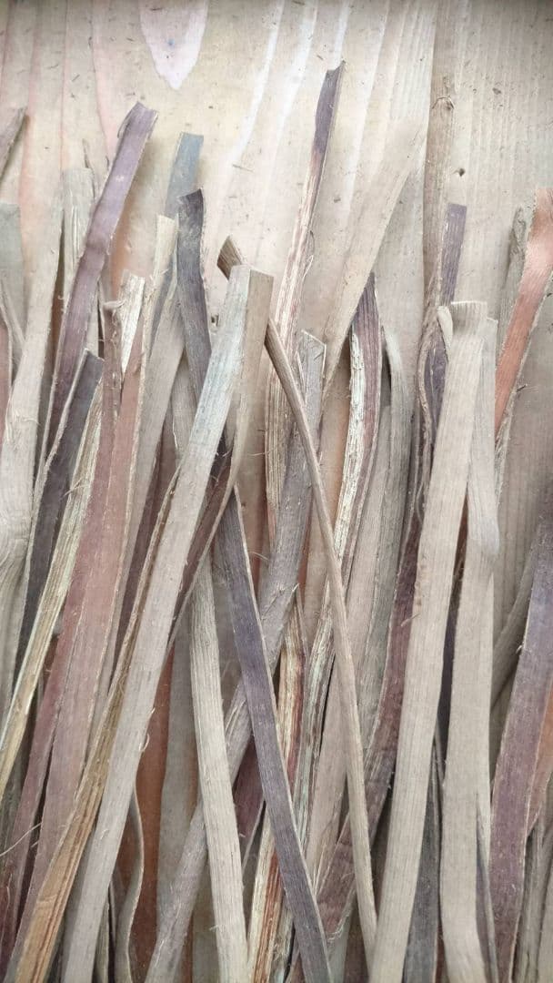 店舗良い 山葡萄蔓の皮 端材 短材 ① 30cm〜 50本 材料 | peritia