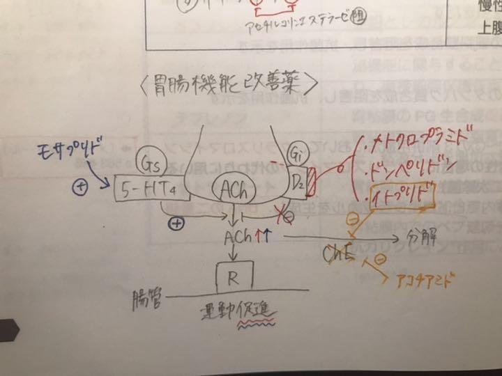 薬剤師国家試験 要点マスター青問2022年版❗️大幅値下げ