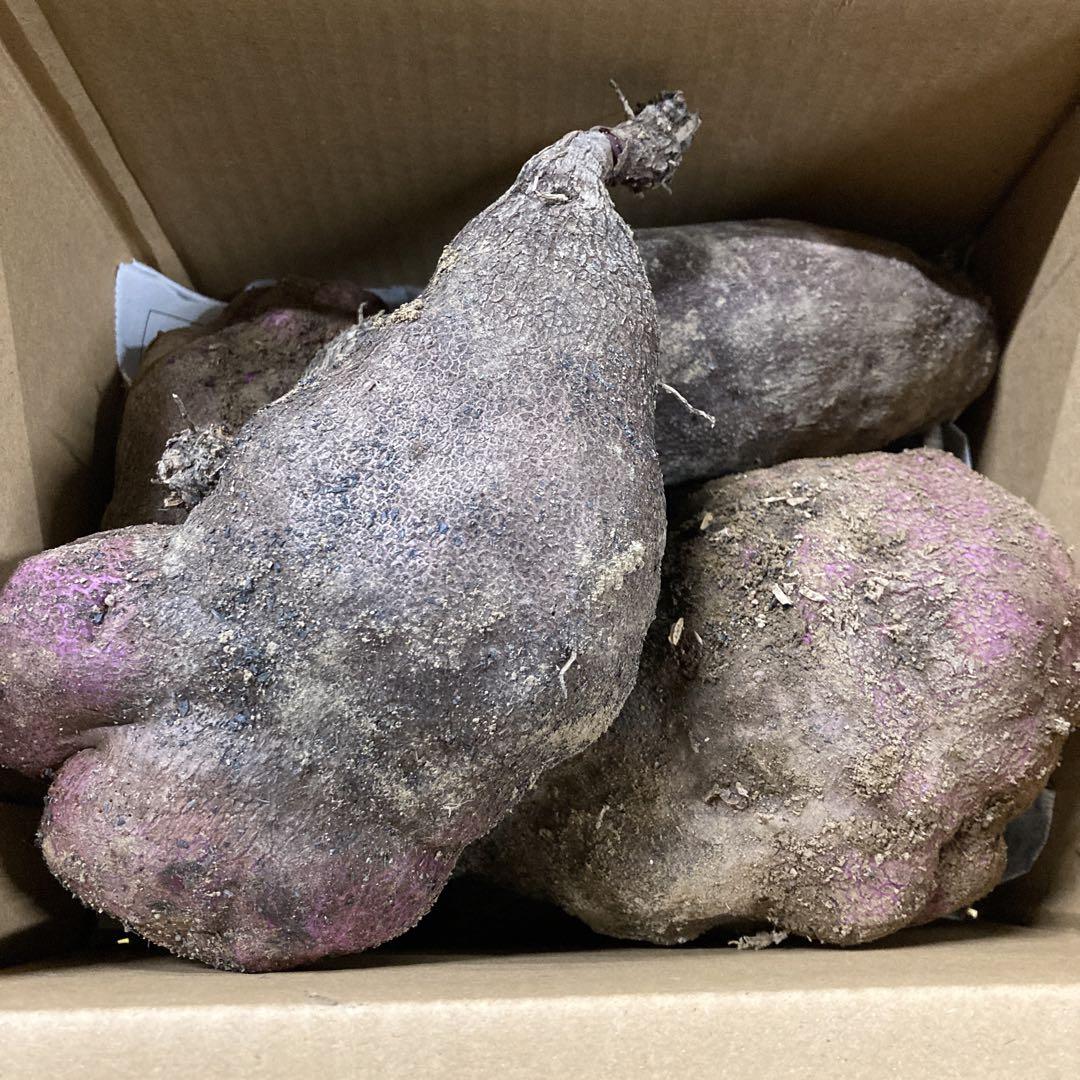 さつまいも　ワケあり安納芋　こがね　コロコロサイズ17キロ さつまいも ワケあり安納芋 こがね 17キロ