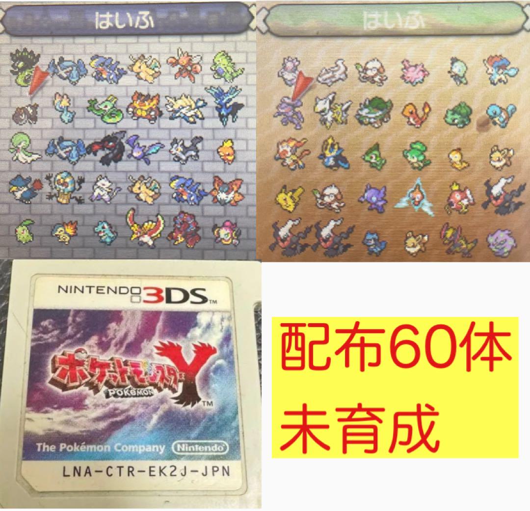 ポケットモンスターY 自己産配布60体未育成 即購入可能 - メルカリ