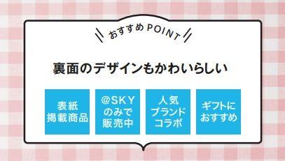ANAオリジナル　ファミリア　レッスンバッグ＆ポーチセット　新品