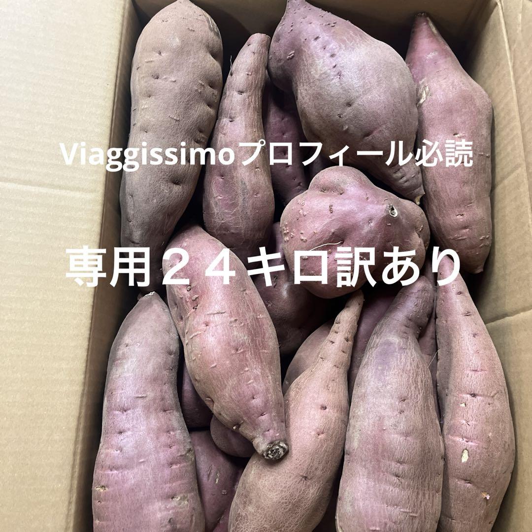 さつまいも訳あり24キロ