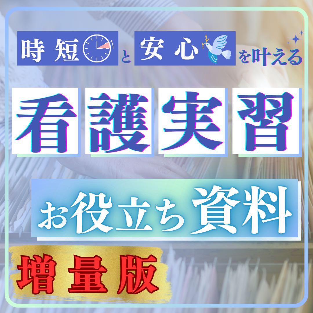 ⛔️これで時短⛔️看護実習お役立ち資料(看護過程) - メルカリ