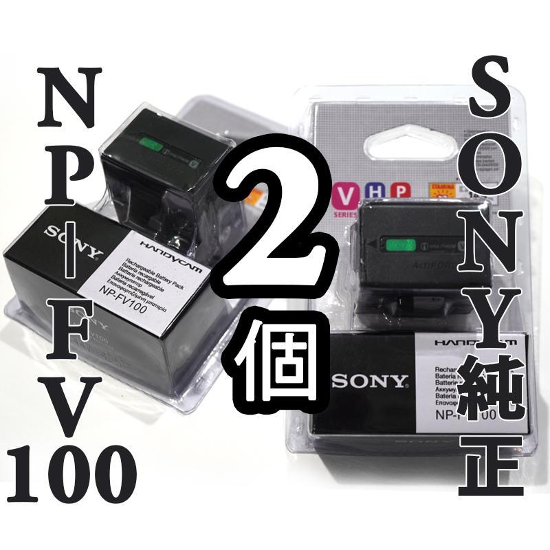 最安値 CX900】+【純正バッテリー2本】+【カメラバッグ】 【SONY - ビデオカメラ