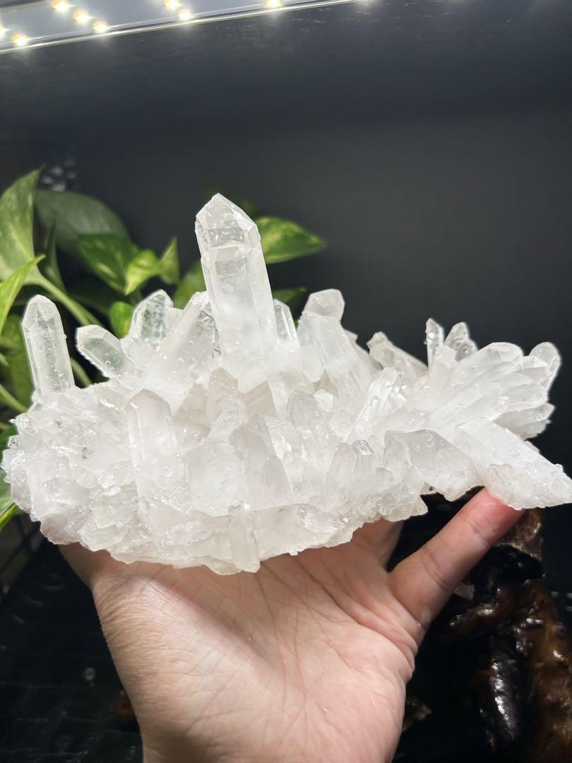 スター雪美人【爆レア‼️　聖美‼️　結晶】マニカラン産ヒマラヤ水晶クラスター