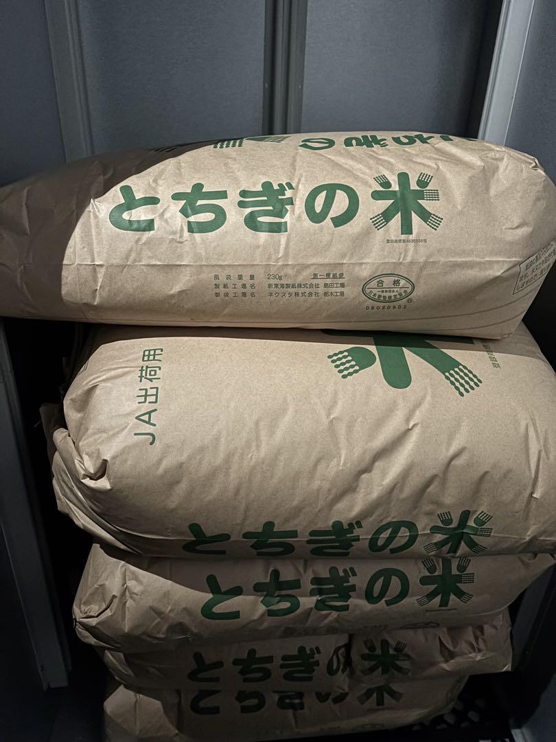 新米 令和6年 栃木県産 コシヒカリ 25キログラム