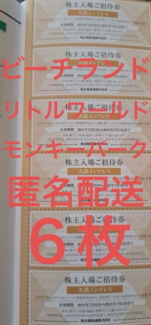6枚　南知多ビーチランド　リトルワールド モンキーパーク　利用券