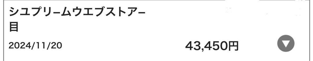 Supreme ネイビー ハーフジップダウンジャケット